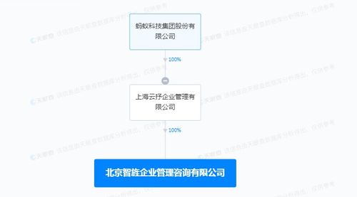 信息系統集成服務 構建數字化未來的核心引擎